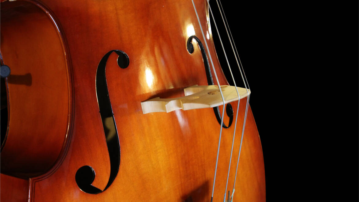 Double Bass