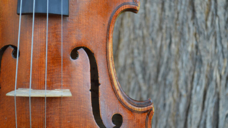 Violin