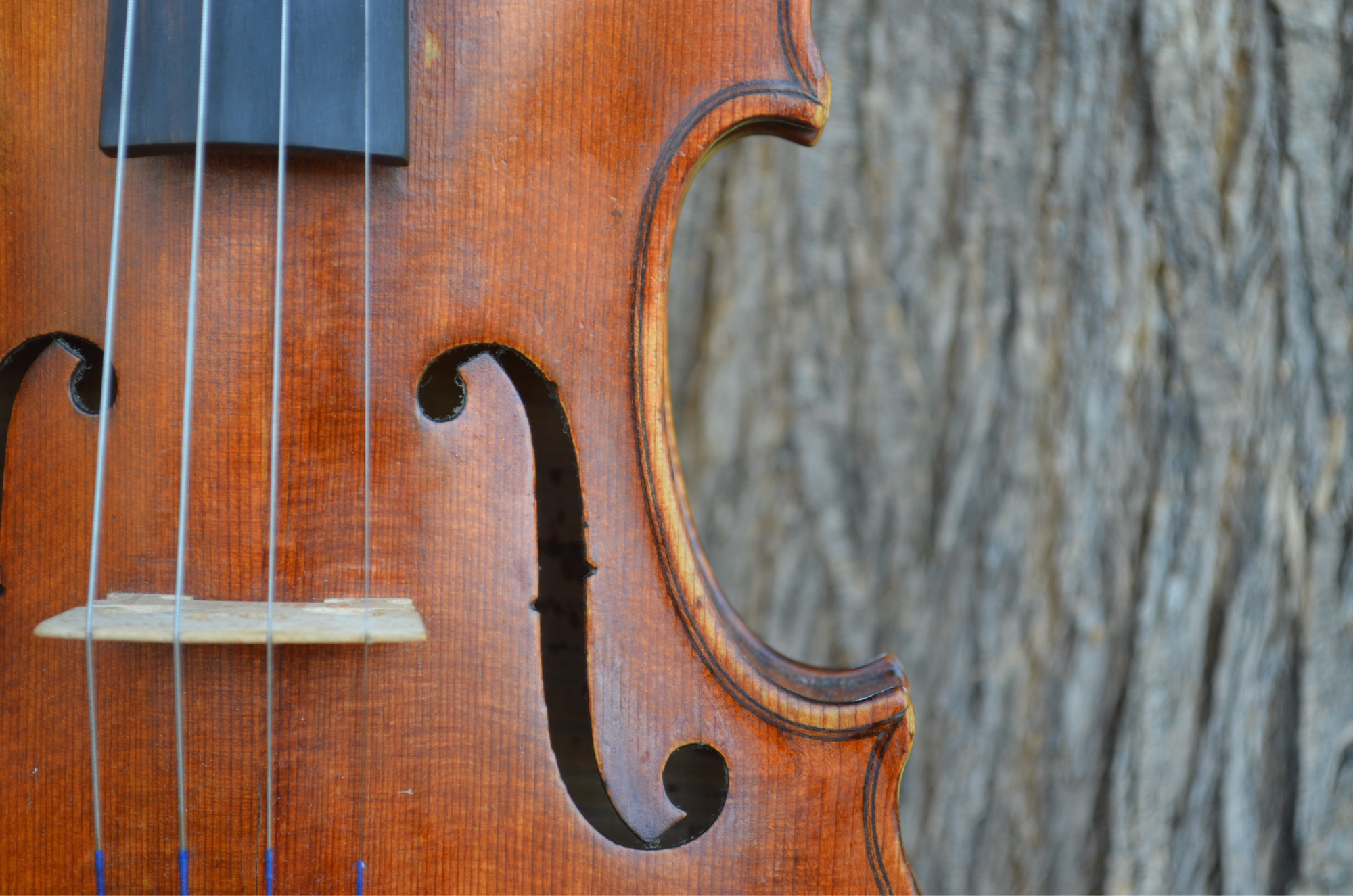 Instrument: Violin