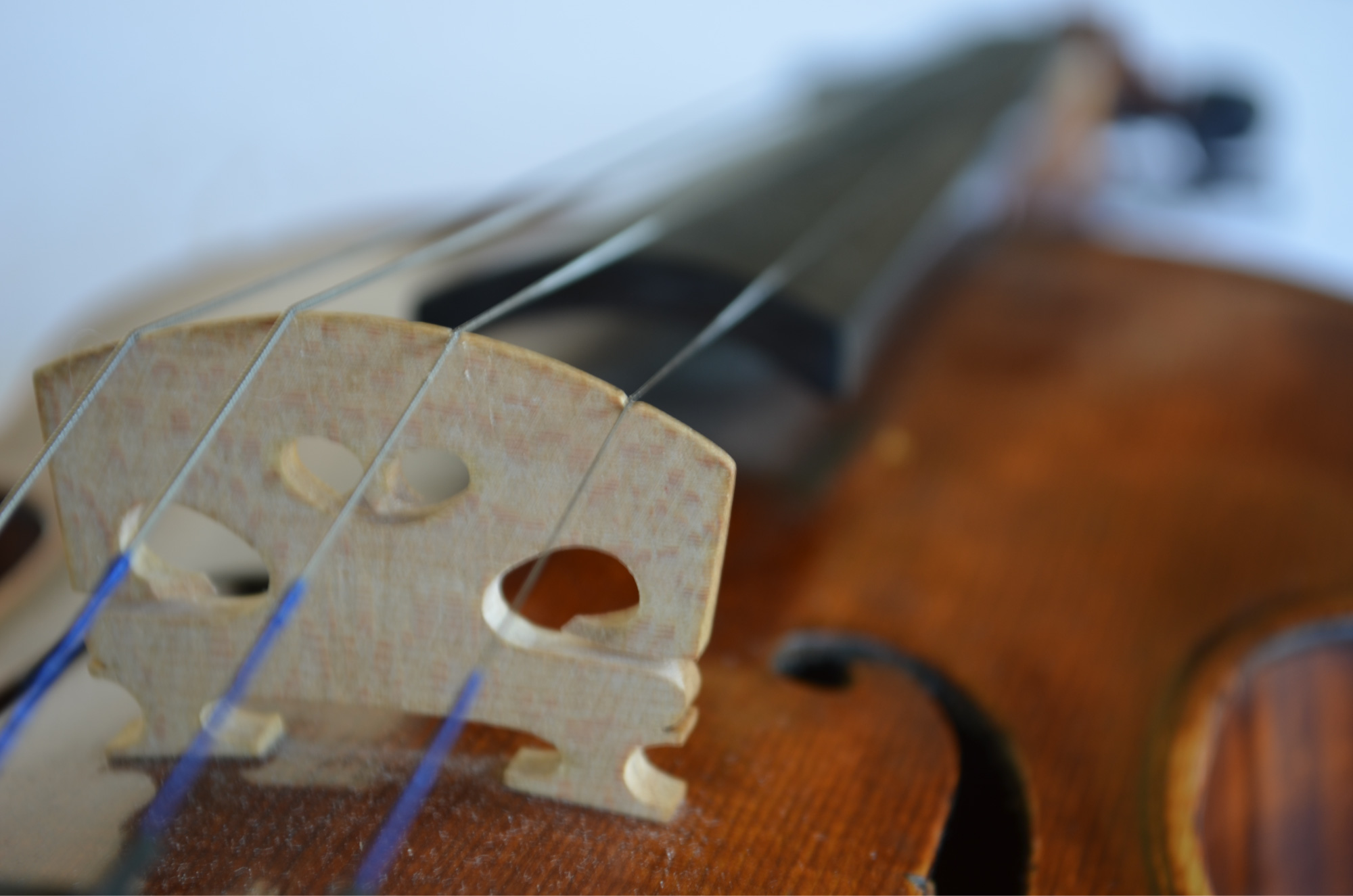 Instrument: Viola